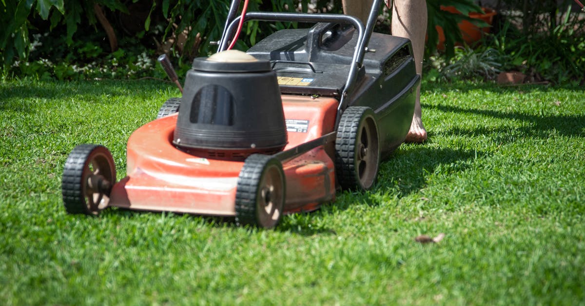 Lawn care services in Queen Creek